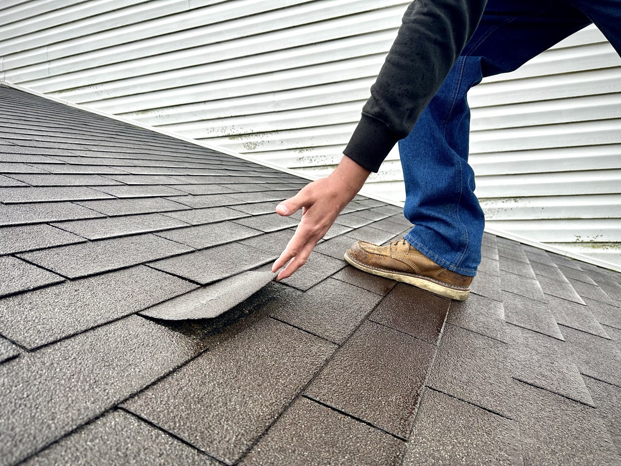 roof inspector in brown boots on an asphalt shingle roof inspecting the integrity of shingles