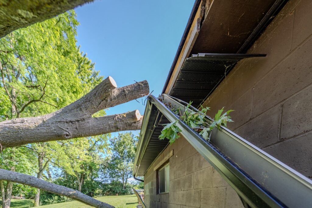 view upwards towards a detached garage where black Gutter is half removed and bent due to a fallen tree on the structure.